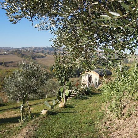 La Luna Nell'Orto-Casa Vacanza Ecologica E Agricoltura Biodinamica Barchi Bagian luar foto