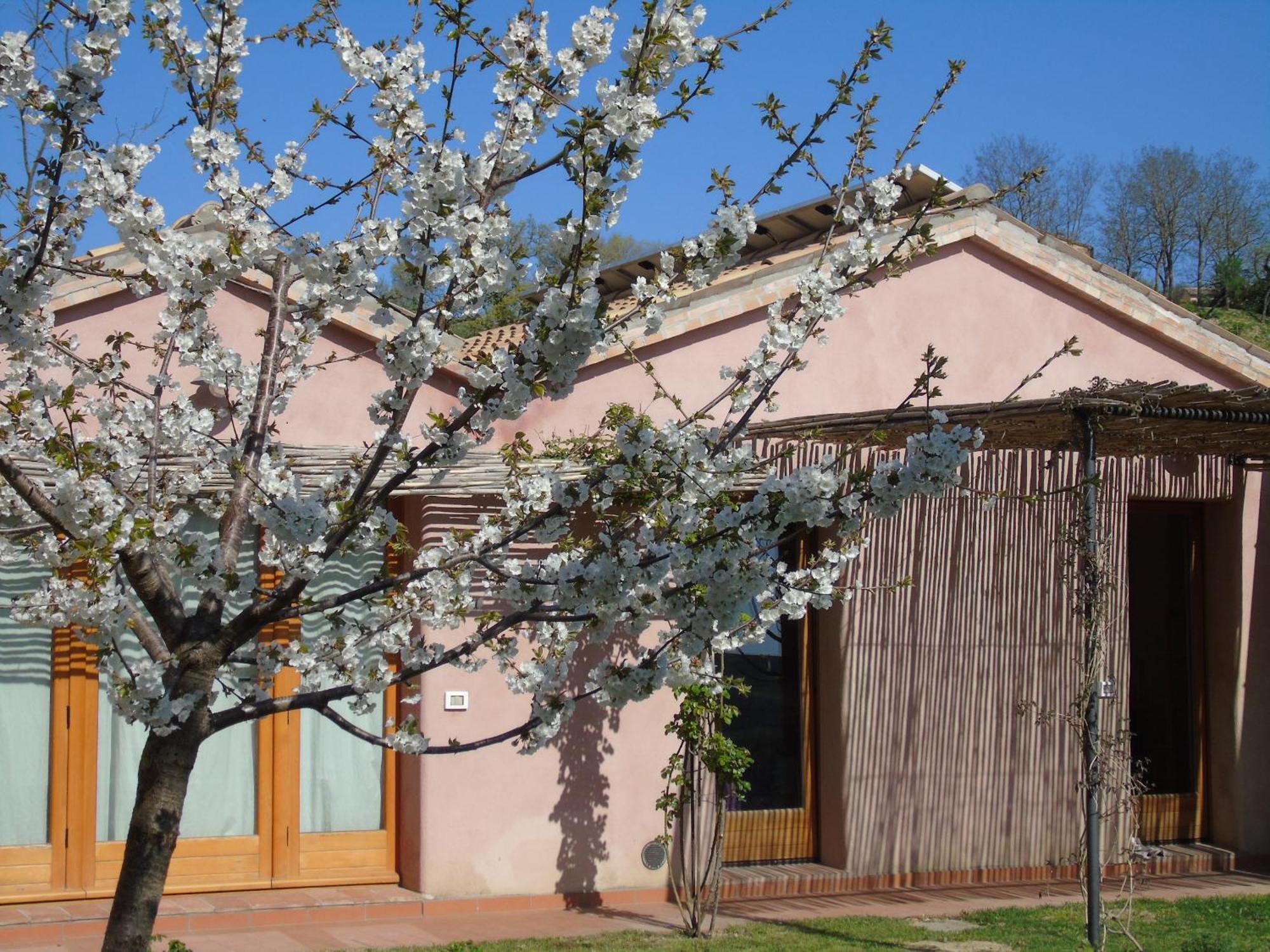 La Luna Nell'Orto-Casa Vacanza Ecologica E Agricoltura Biodinamica Barchi Bagian luar foto