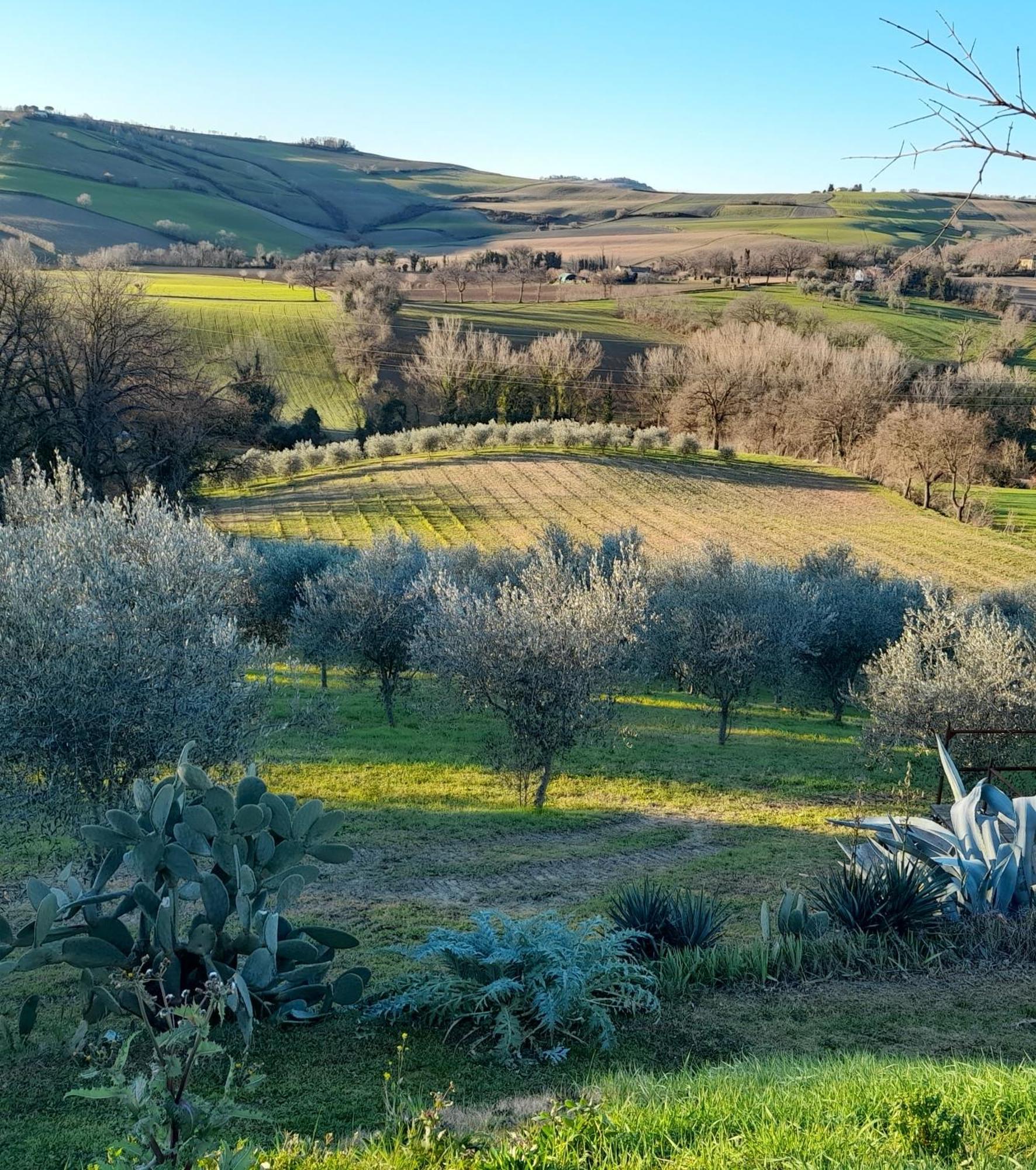 La Luna Nell'Orto-Casa Vacanza Ecologica E Agricoltura Biodinamica Barchi Bagian luar foto